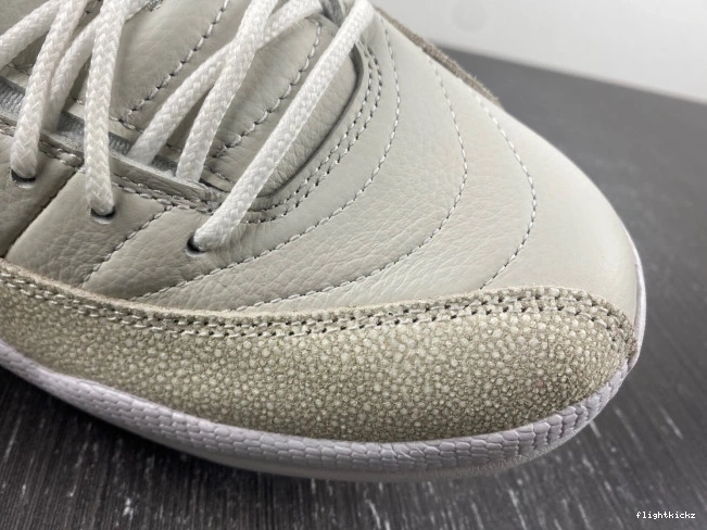 12 Retro Jordan 873864-102 White OVO 1204